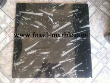 相片: 出售 装饰 SLAB FOSSILIZED MARBLE MOROCCO - SLAB FOSSILIZED MARBLE MOROCCO