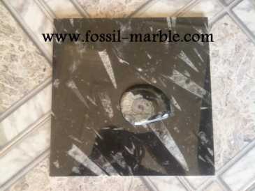 相片: 出售 装饰 SLAB FOSSILIZED MARBLE MOROCCO - SLAB FOSSILIZED MARBLE MOROCCO