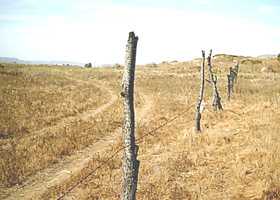相片: 出售 土地 9,996 m2