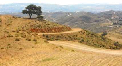 相片: 租 休闲票 HACER EL BUGGY EN TORREMOLINOS - TORREMOLINOS