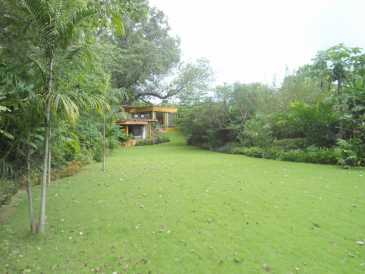 相片: 出售 房子 200 m2