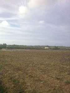 相片: 出售 土地 240,000 m2