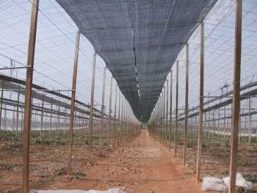 相片: 出售 土地 130,000 m2
