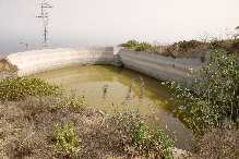 相片: 出售 土地 10,000 m2