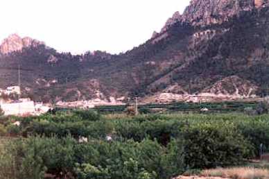 相片: 出售 土地 10,000 m2