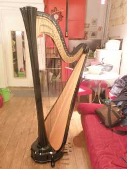 相片: 出售 其他人 HARPE AURORA SALVI - SALVI