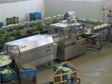 相片: 出售 自己动手和工具