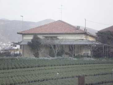 相片: 出售 表面被安排 300 m2