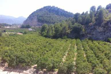 相片: 出售 土地 20,000 m2