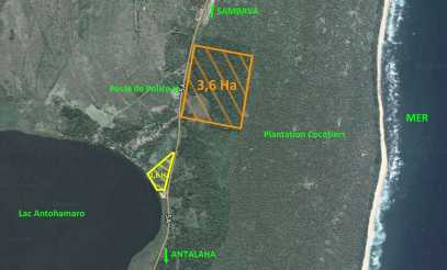 相片: 出售 土地 36,300 m2