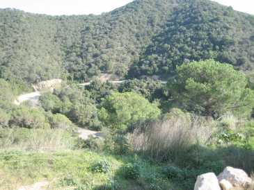 相片: 出售 土地 800 m2