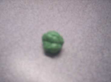 相片: 出售 其它对象 CHICLE MASTICADO - MENTA - 1