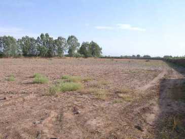 相片: 出售 土地 250,000 m2