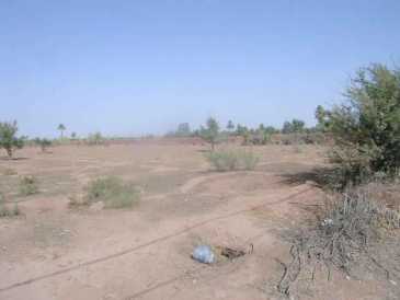 相片: 出售 土地 15,000 m2
