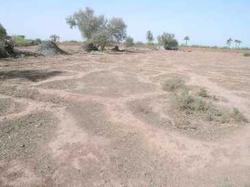 相片: 出售 土地 15,000 m2