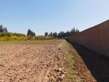 相片: 出售 土地 10,000 m2