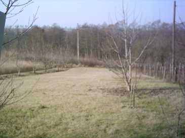 相片: 出售 国家村庄 40 m2