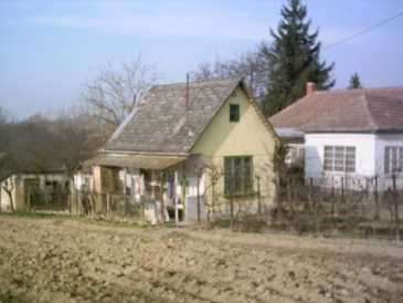 相片: 出售 国家村庄 40 m2