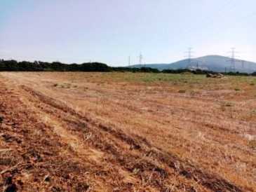 相片: 出售 公寓 13,000 m2