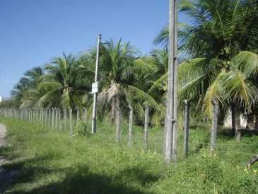 相片: 出售 土地 3,286 m2