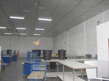 相片: 出售 其他人 322 m2