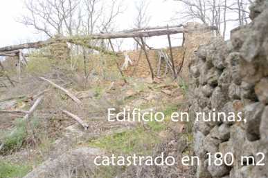 相片: 出售 土地 26,200 m2