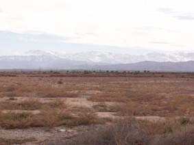 相片: 出售 土地 21,233 m2
