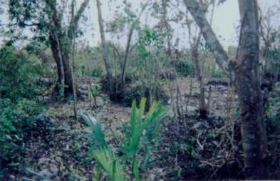 相片: 出售 土地 2,600 m2