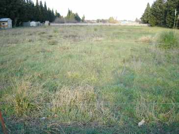 相片: 出售 土地 3,900 m2