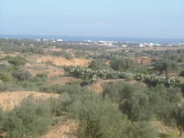 相片: 出售 土地 10,000 m2