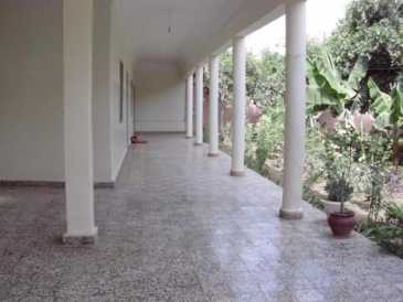 相片: 出售 其他人 1,300 m2