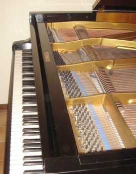 相片: 出售 其他人 BLUTHNER - PIANOFORTE A MEZZA CODA