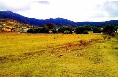 相片: 出售 土地 15,000 m2