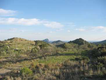 相片: 出售 土地 12,970 m2