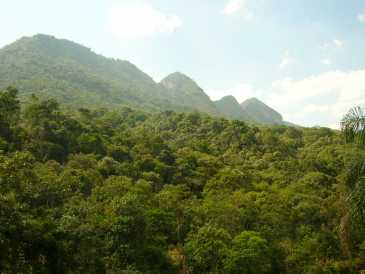 相片: 出售 土地 242,000 m2