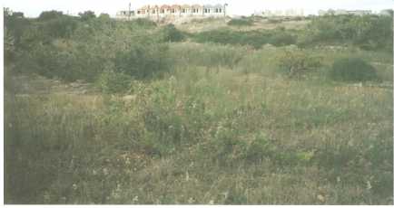 相片: 出售 土地 656 m2