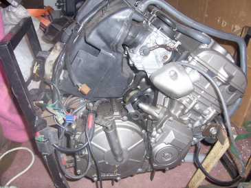 相片: 出售 零件和辅助部件 HONDA - MOTEUR 600 HONDA ORNET