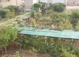 相片: 出售 房子 600 m2