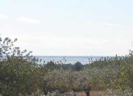 相片: 出售 土地 27,000 m2