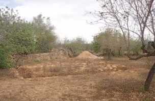 相片: 出售 土地 48,000 m2
