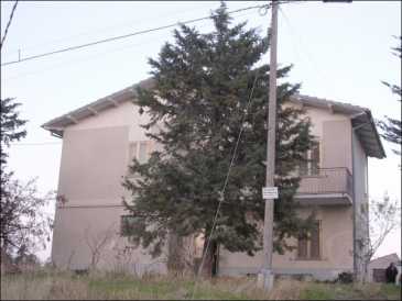相片: 出售 农场 250 m2