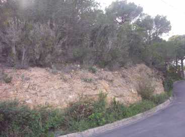 相片: 出售 土地 800 m2