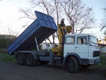 相片: 出售 卡车和公共事业 IVECO