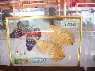 相片: 出售 其它艺术对象