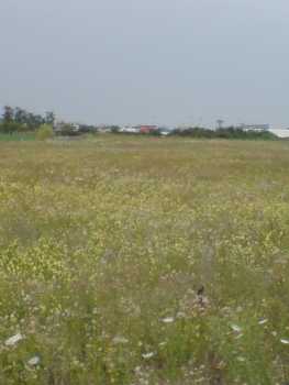相片: 出售 土地 22,700 m2