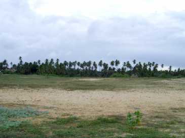 相片: 出售 土地 18,000 m2