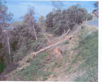 相片: 出售 土地 2,500 m2