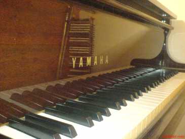 相片: 出售 钢琴和合成器 YAMAHA - G2 E-2193922