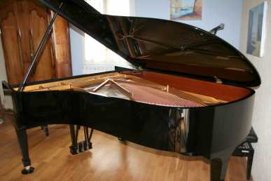 相片: 出售 钢琴和合成器 STEINWAY - B