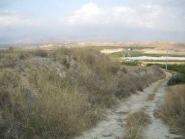 相片: 出售 土地 5,000 m2